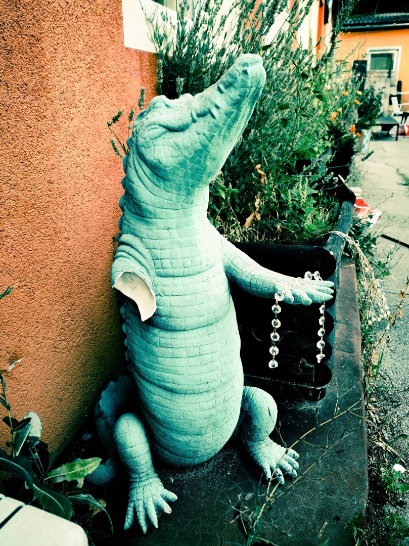 Bild von unserem Krokodil, das eine Kette hält neben Pflanzen. 